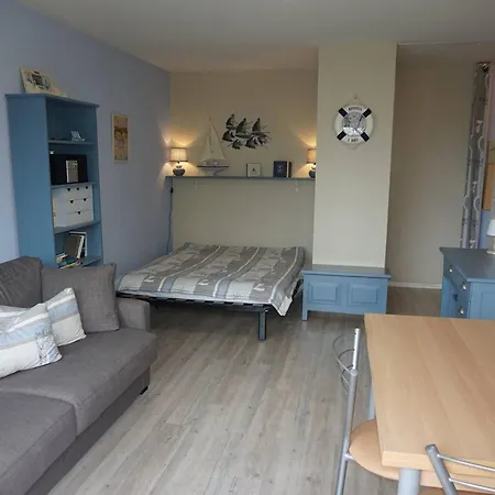 Charmant Studio Avec Balcon A 500m De La Plage - - Fr-1-465-121 Apartman *